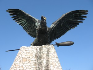 Tatabanyai turul madar
