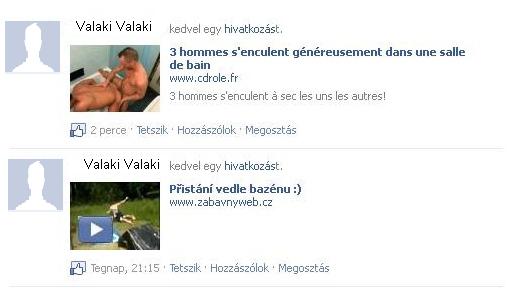 20110307_facebook_virus_feleseg